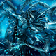 Image for article titled The Armies Who Do Battle on the Backs of Insects